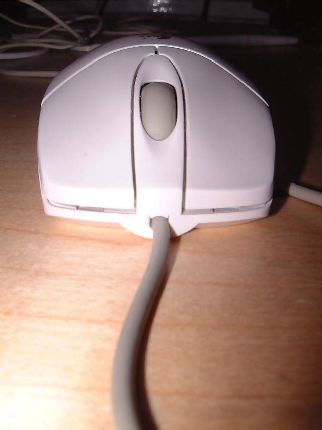 Computers Wheel mouse viewed down the wire