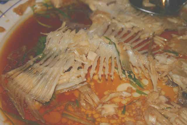 Food Bones of a whole Turbot