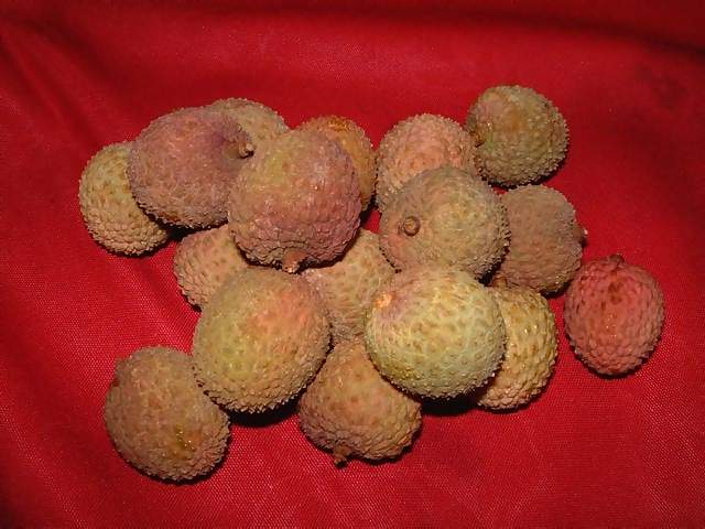 Food Pile of red and gold lychees on a red cloth for Chinese new year