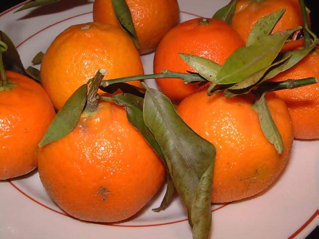 Food Pile of tangerines on a white plate