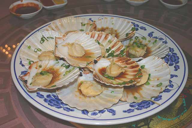 Food Plate of large scallops served hot in their shells in a Chinese ginger and spring onion sauce