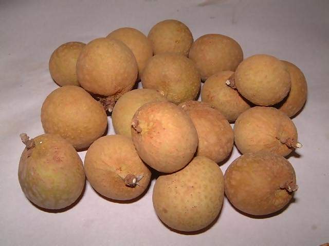 Food Small pile of Chinese fruit langans