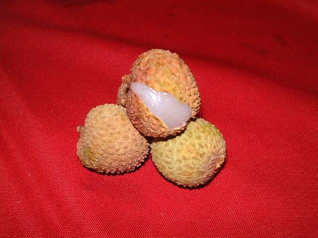 Food Three lychees on a red cloth wirh one partially opened showing white flesh inside