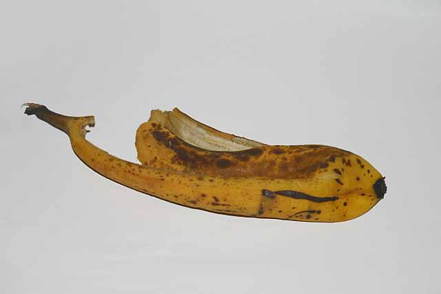 Fruit Ripe black and yellow banana skin after the banana has been eaten