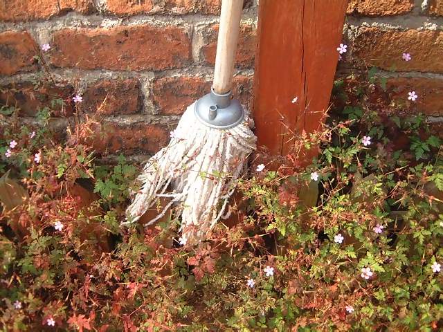 Household Mop hanging on wooden post against small flowers