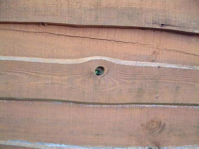 Miscellaneous Peeping Tom hole through wooden fence