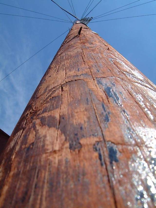 Structures Telegraph telephone pole looking at blue sky
