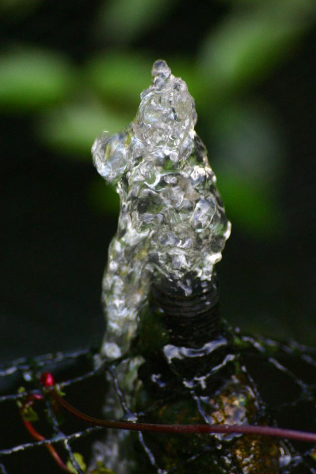 Water Small gurgling garden fountain on Koi Carp pond