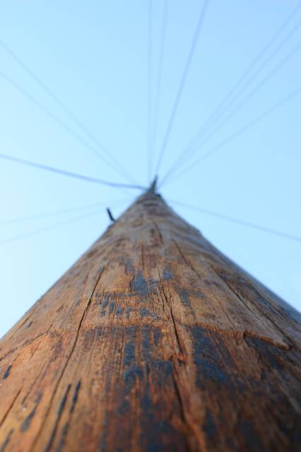 Looking up a telegraph pole